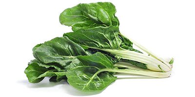 Acelga