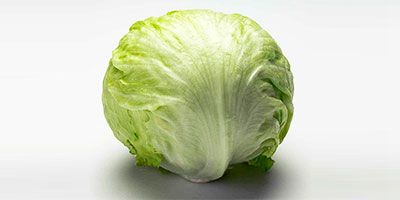 Lechuga iceberg